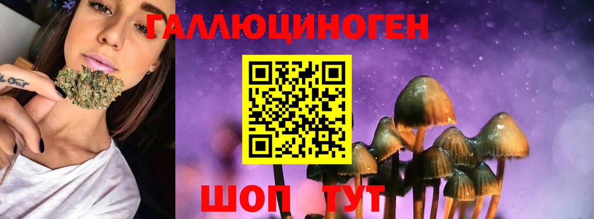 Чехов  Псилоцибиновые грибы мицелий  Вход с VPN 
